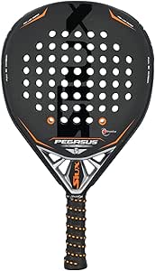 SIUX Pegasus Revolution 3K